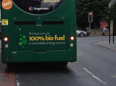 Environment-friendly bus. Photo: Brenda Daniels. 